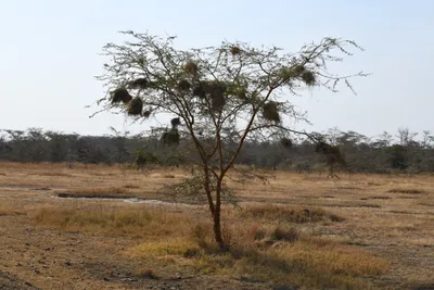 DSC_3407 (Large).JPG